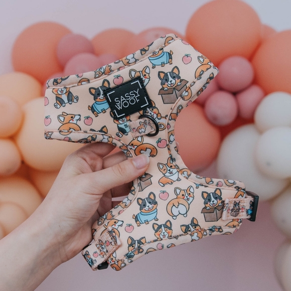 Sassy Woof Corgilicious Small Dog Harness - Picture 3 of 16